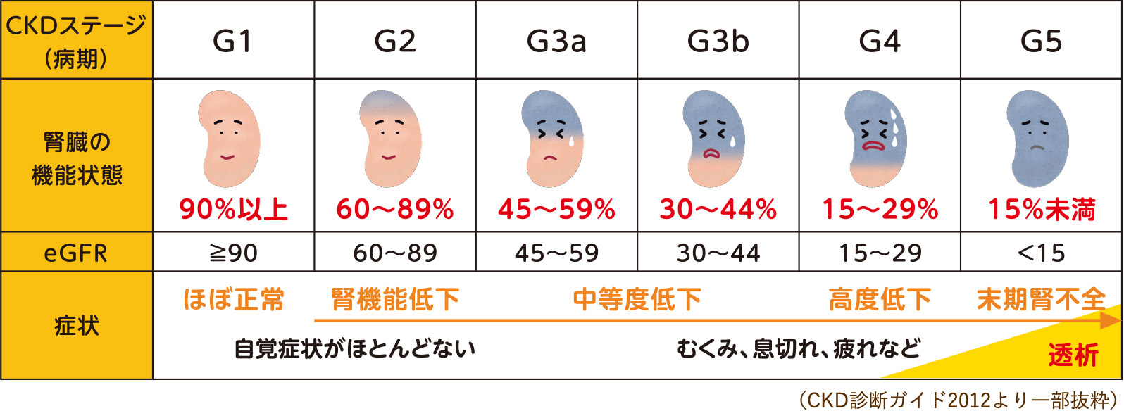 腎臓の状態