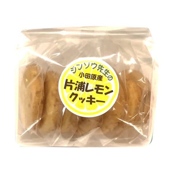 ジンゾウ先生の片浦レモンクッキー 10g×7枚