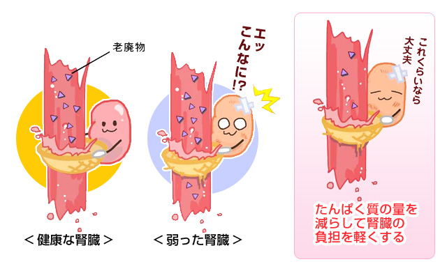 低たんぱく食